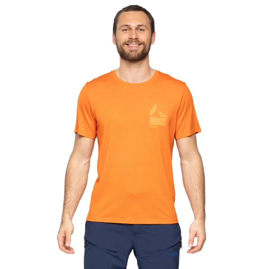 Rabot Mount Wool Tee Men | Bergans Discount