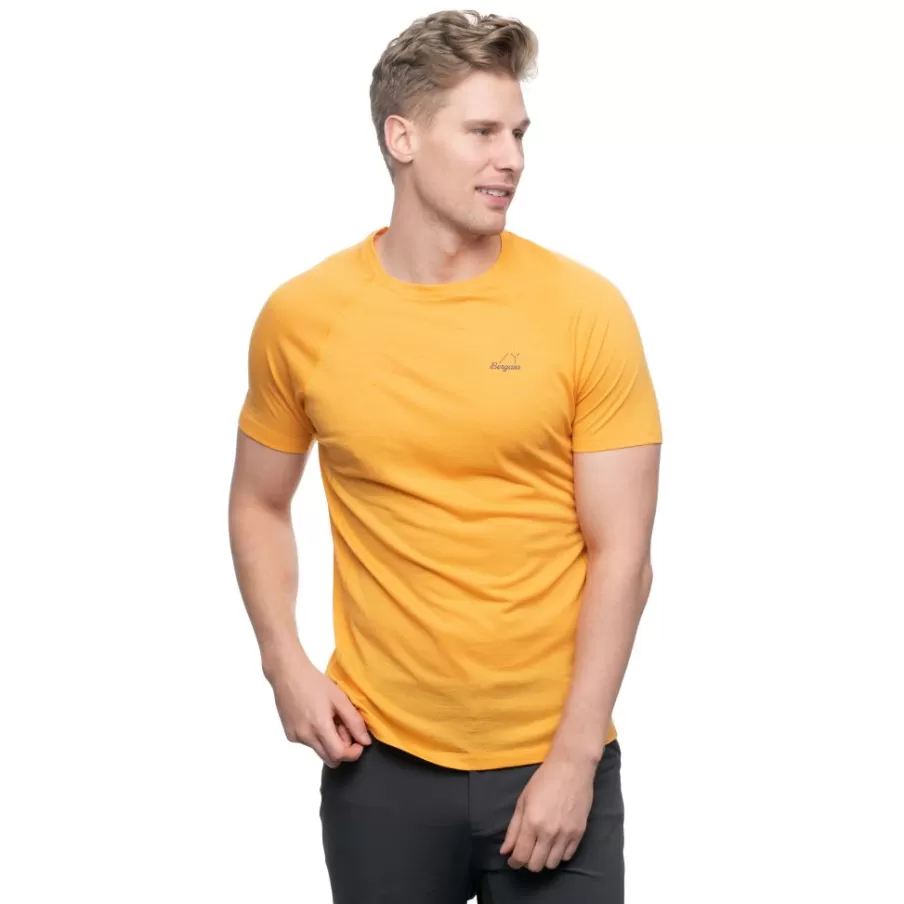 Y LightLine Merino Tee Men | Bergans Best